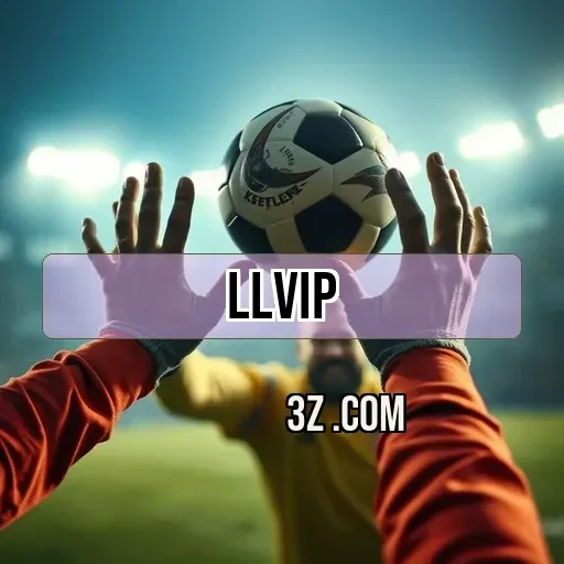 llvip.com Guias e Dicas
